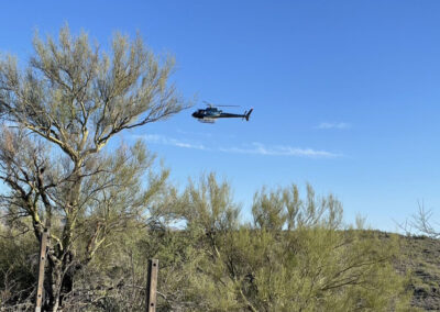 Blue helicopter over the forest