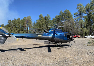 Blue helicopter in the forest