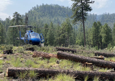 Blue helicopter in the forest