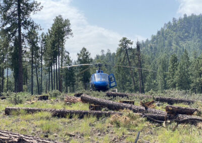 Blue helicopter in the forest