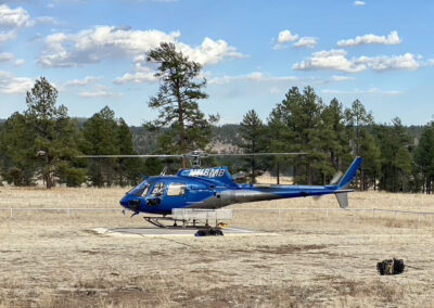 Blue helicopter in the forest