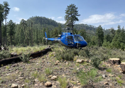 Helicopter in the forest