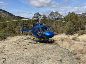 Blue helicopter in the forest