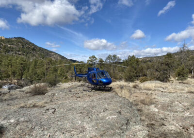 Blue helicopter in the forest