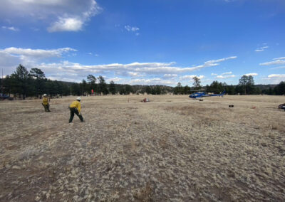 Men surveying the land